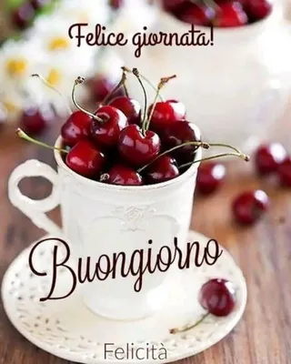 Buongiorno! 🙂 Felice Giovedì ☀️