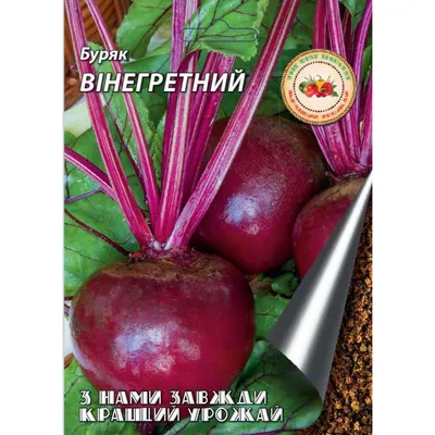 Буряк столовий Кадет 3г (Коуел) (ID#1728962836), цена: 10 ₴, купить на  Prom.ua