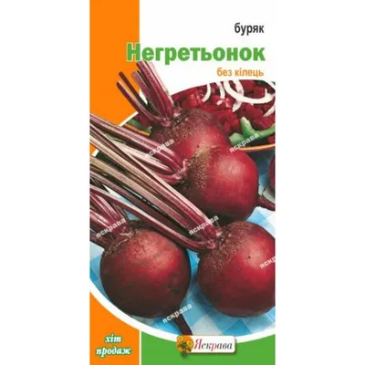 Буряк - різноманітна суміш з різнокольоровими коріннями - 450 насінин -  Beta vulgaris - насіння – Garden Seeds Market | Безкоштовна доставка