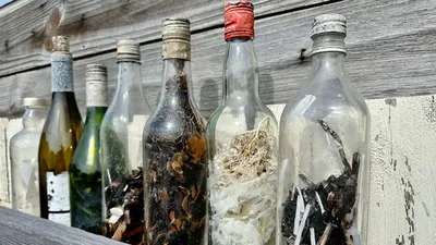 На пляжах США нашли пугающие «ведьмины бутылки». Вот что в них скрыто | РБК  Life