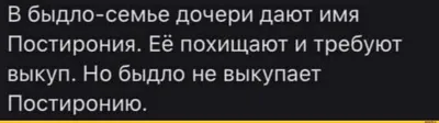 Жириновский: «Быдло» — это не обидно. Вас так поляки называли. Погляд |  Взгляд | Інтернет-видання