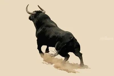 Group of Bull Fighting Illustrations — Art Blackburn