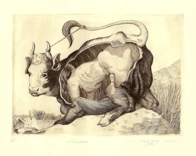 Taurus Bull Head Paint Art Print by Big Lamp Design - Fy
