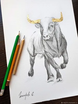 Как нарисовать быка — символ 2021 года