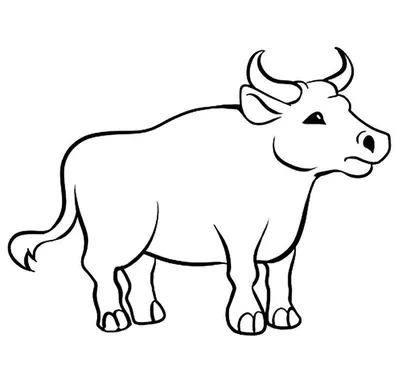 Раскраска Быки, бычки и коровки на Новый год 2021 | Раскраски, Бык, Животные