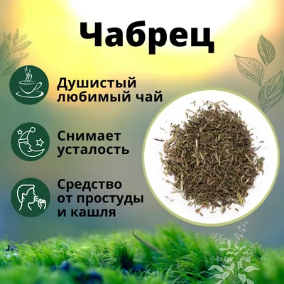 Чабрец настоящий травяной чай (Тимьян), сушеный измельченный, 100 гр. -  купить с доставкой по выгодным ценам в интернет-магазине OZON (389550859)