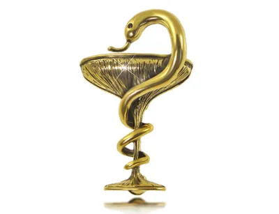 Золотой значок символ медицины чаша со змеей КОЮЗ М14020138 купить в  интернет-магазине Остров Сокровищ
