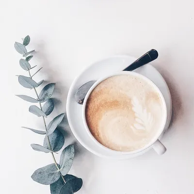 Онлайн пазл «Чашечка кофе»