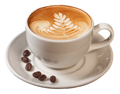 пронауку: как 25 чашек кофе в день влияют на артерии | РБК Стиль