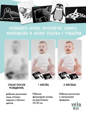 Развивающие черно-белые карточки для новорожденных Север VeraKit 12974895  купить за 416 ₽ в интернет-магазине Wildberries