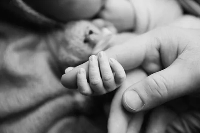 Newborn ЧБ. Фотограф новорожденных. Семейный и детский фотограф в городе  Сургуте
