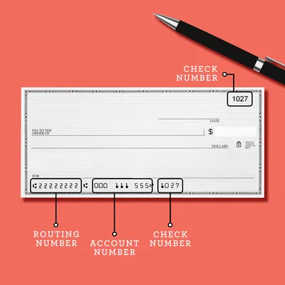 How to Write a Check in 5 Easy Steps