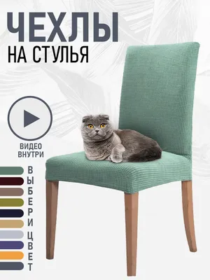 Чехлы на стулья купить в Калининграде недорого — пошив и продажа чехлов
