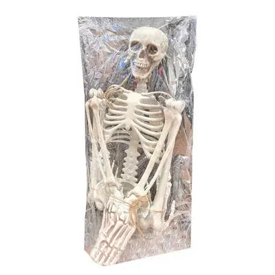 Человеческий скелет 40-170 см | AliExpress