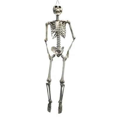 Человеческий скелет. Чёткость 4 k …» — создано в Шедевруме