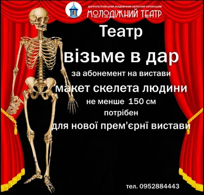 Человеческий скелет иллюстрация штока. иллюстрации насчитывающей человек -  34601225