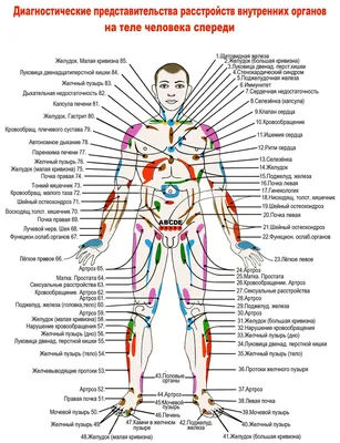 Опущение внутренних органов. Что делать?