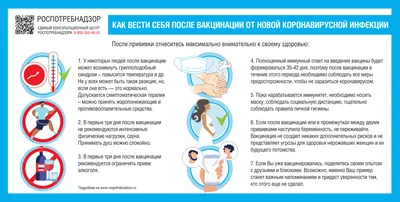 Неизветные факты о Южной Корее | Статьи Hotcourses Russian