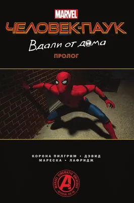 Новую игру «Человек-паук: Вдали от дома» от первого лица для Steam  предлагают получить бесплатно | Gamebomb.ru