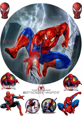 Наклейки \"Spider-Man / Человек-паук\" No.1 - купить с доставкой по выгодным  ценам в интернет-магазине OZON (841263010)