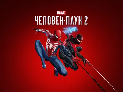 Обои на рабочий стол Человек-паук / Spider-Man летит в воздухе держась за  паутину над ночным городом, обои для рабочего стола, скачать обои, обои  бесплатно