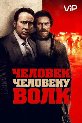 Человек-волк»: как советский биолог прожил 2 года в стае хищников - Русская  семерка