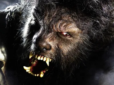 Человек-волк фигурка: купить коллекционную игрушку из фильма ужасов ретро  Wolf Man в интернет магазине Toyszone.ru