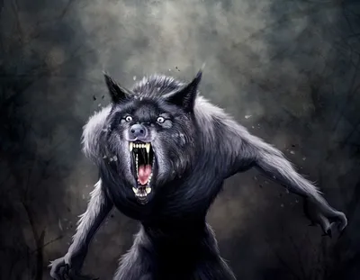 Вулфcбейн: Человек – волк (DVD) (упрощенное издание) - купить фильм  /Wolvesbayne/ на DVD с доставкой. GoldDisk - Интернет-магазин Лицензионных  DVD.