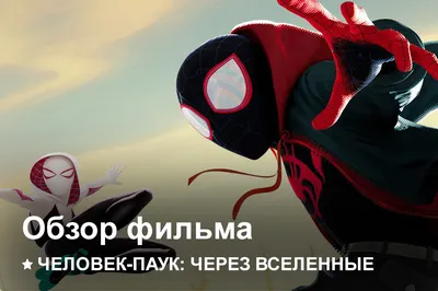 Продюсеры «Человека-паука: Через вселенные 3» ответили, когда выйдет  мультфильм - Чемпионат