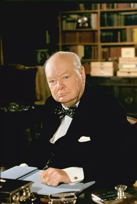 Уинстон Черчилль об отношении к жизни, успехе и целеустремленности | Vogue  UA