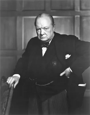 Купить картину Уинстон Черчилль в Украине | Фото и репродукция картины на  холсте в интернет магазине Макросвит
