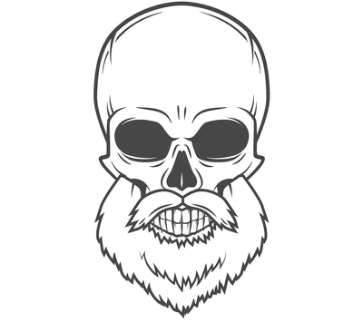 рисунок череп с бородой иллюстрация PNG , рисунок медведя, рисунок крысы,  рисунок уха PNG картинки и пнг рисунок для бесплатной загрузки
