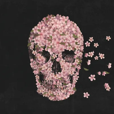 череп с цветами, цветы, фигурка, эскиз png | Klipartz