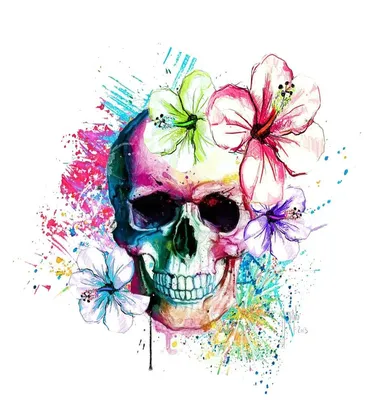Человеческий череп с цветами на красном фоне :: Стоковая фотография ::  Pixel-Shot Studio