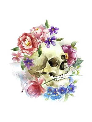 Череп с цветами на нем сделан из человеческого черепа. | Премиум Фото