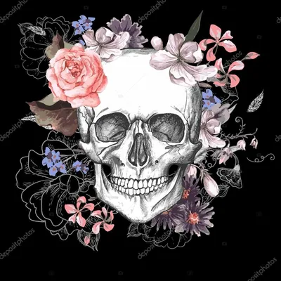 Человеческий череп - цветы, этническая украшение в стиле бохо Водный цвет  Иллюстрация штока - иллюстрации насчитывающей краска, мило: 161715343