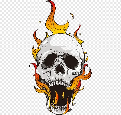 Череп на огне с иллюстрацией пламен в белой предпосылке Иллюстрация штока -  иллюстрации насчитывающей рот, утес: 129167222
