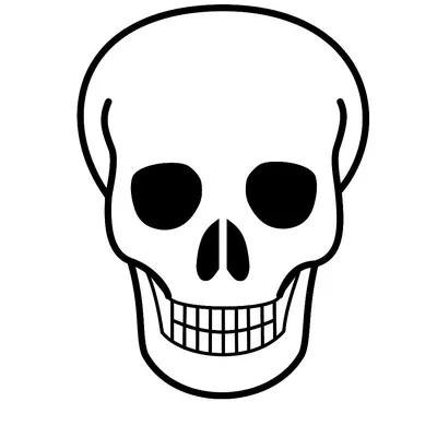 Статуэтка КупиЧереп череп с зубами арт 33-01-1225 - купить по низким ценам  в интернет-магазине OZON (1200776375)
