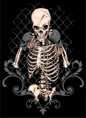 Скелет на черном фоне арт - 34 фото