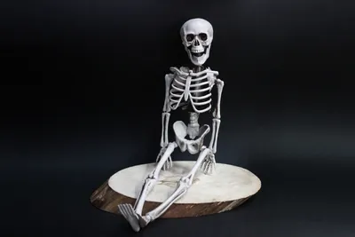 70-170 см Скелет на Хэллоуин, реквизит, человеческий полноразмерный череп,  ручная жизнь, тело, модель, декор для вечерние ринки на Хэллоуин, для дома  | AliExpress
