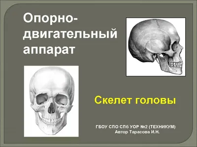 Пиратские Флаги Черепа И Кости — стоковая векторная графика и другие  изображения на тему Череп с костями - Череп с костями, Череп, Пират - iStock