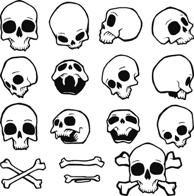 Лучшие идеи (900+) доски «Черепа» | череп, рисунки черепов, картинки черепа