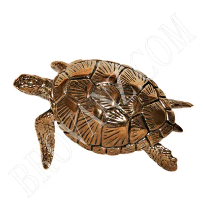 Testudo (Agrionemys) horsfieldii (Среднеазиатская черепаха) - Черепахи.ру