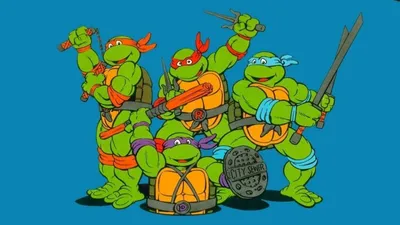 Turtles. Черепашки. PNG. | Черепаха, Детские поделки, Поделки