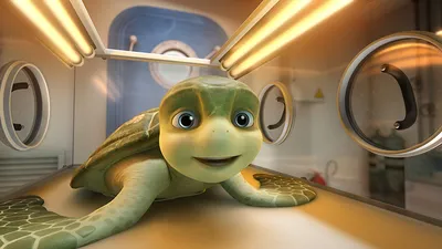 Черепахи в мультфильмах: «Приключения Буратино», «Ёжик плюс черепаха»,  «Король черепах».