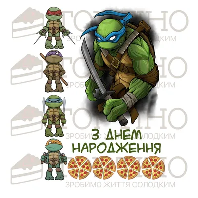 Teenage Mutant Ninja Turtles Raphael | Raphael ninja turtle, Ninja turtles,  Teenage ninja turtles