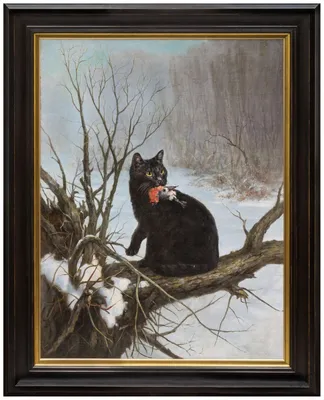 Красота. Чёрная кошка.. Фотограф Maria V. Gorskaya