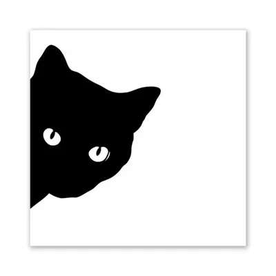 Чёрная кошка | Fandom