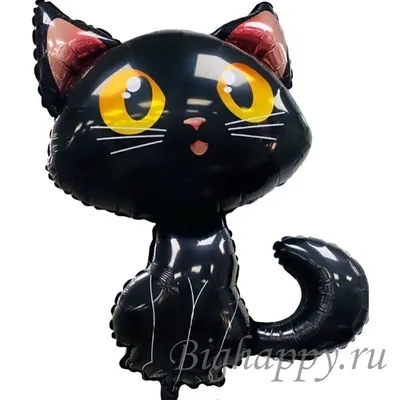 Пушистая черная кошка порода - 61 фото
