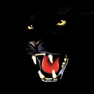 Картинки по запросу скачать картинки черная пантера | Black panther art,  Panther, Panther images